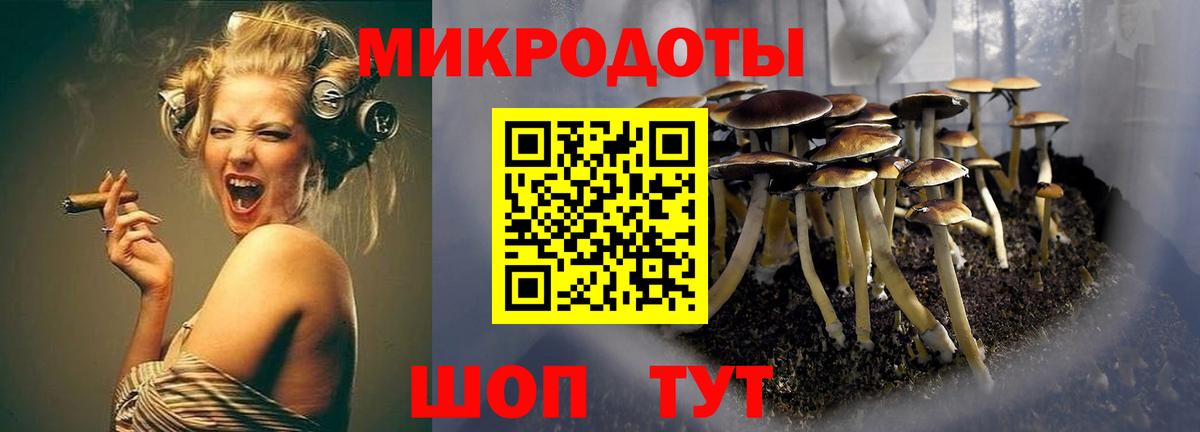 Галлюциногенные грибы MAGIC MUSHROOMS  Псилоцибиновые грибы мухоморы  Вход с VPN  Химки 
